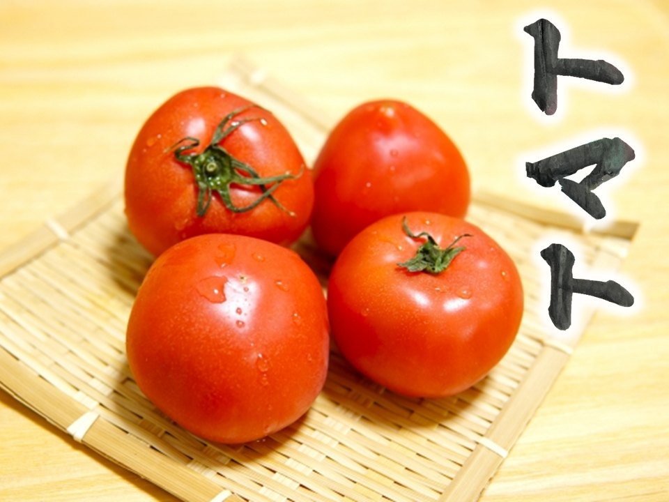 tomato　トマト