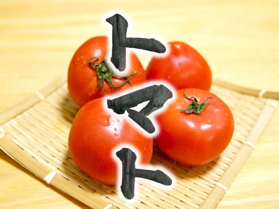 tomato　とまと　トマト