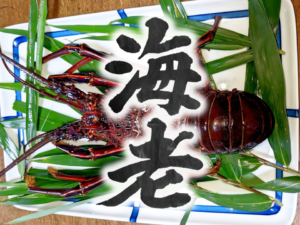 えび　エビ　海老　lobster